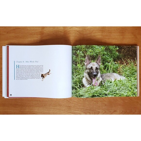 The Sport of Schutzhund a Photographic Essay SIGNED BJ & Peter Spanos 2007 - Picture 8 of 16